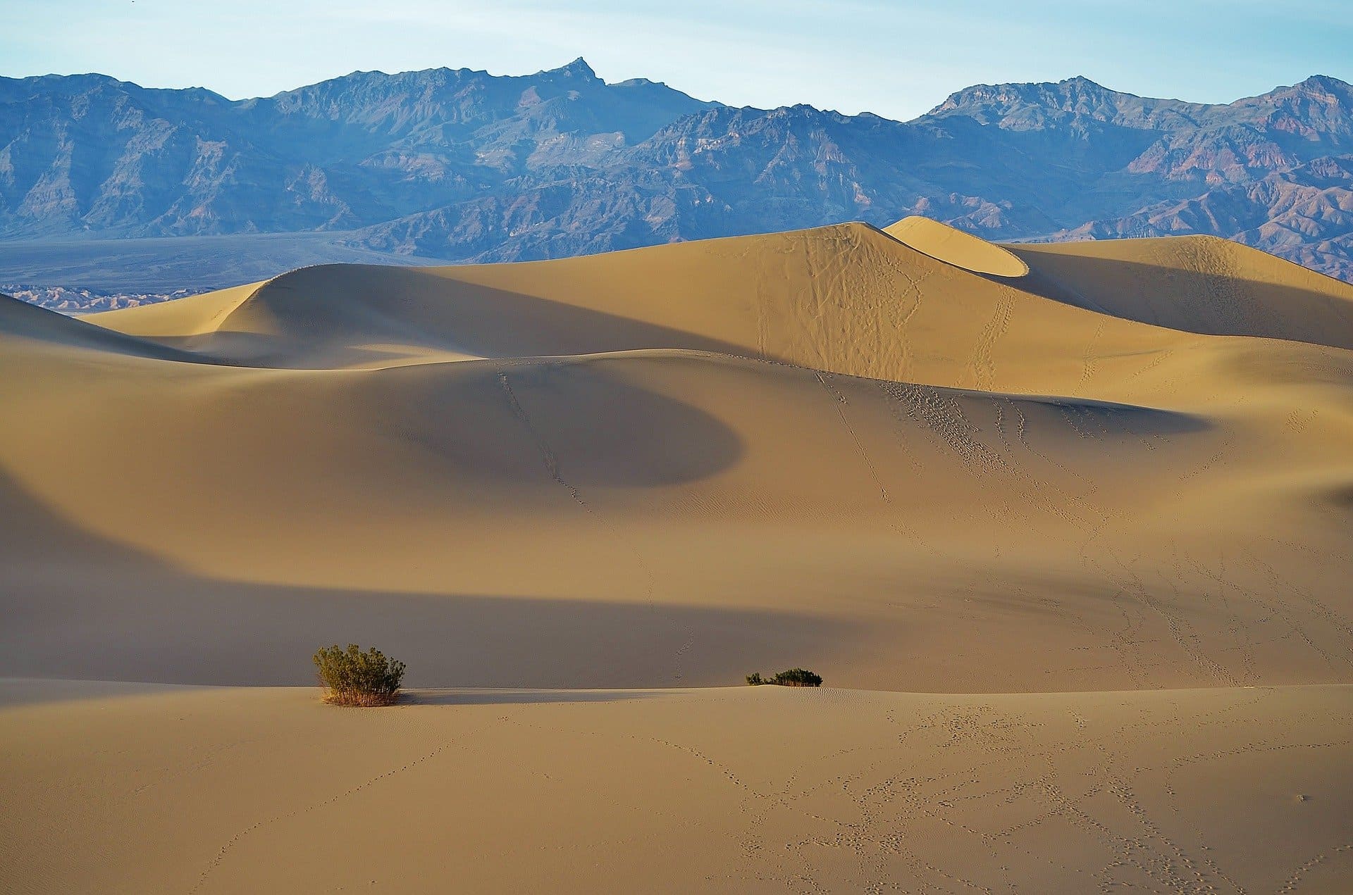 desert